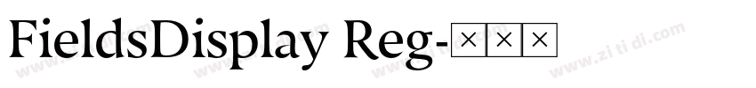 FieldsDisplay Reg字体转换 FieldsDisplay Reg字体转换